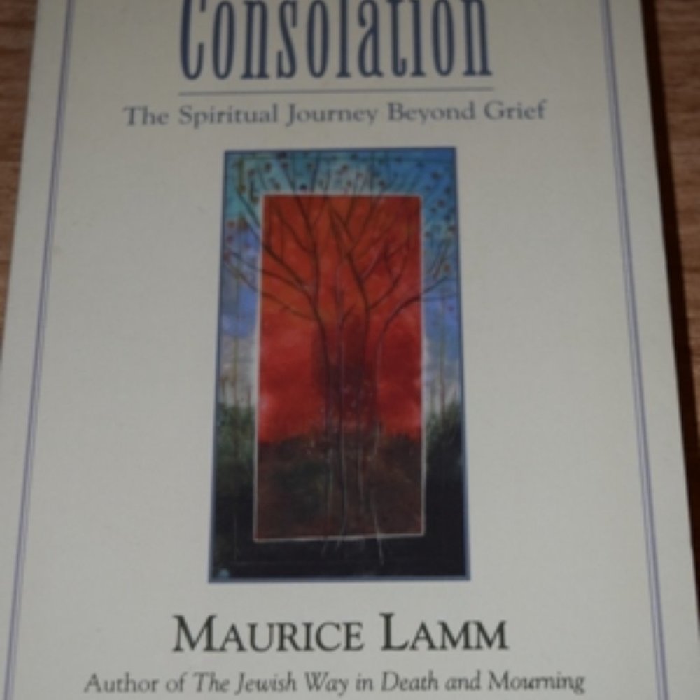Grief Book - Picture 2 of 4